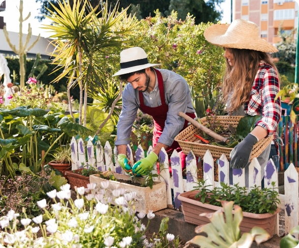 Experience the Joy of Gardening Without Limitations with Our Raised Beds Services