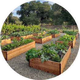 Raised beds built using recycled and natural materials