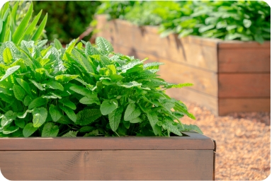 Custom raised beds for organic and sustainable gardening