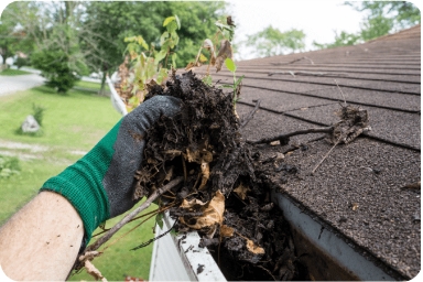 Eco-friendly gutter cleaning to ensure water flow and prevent damage